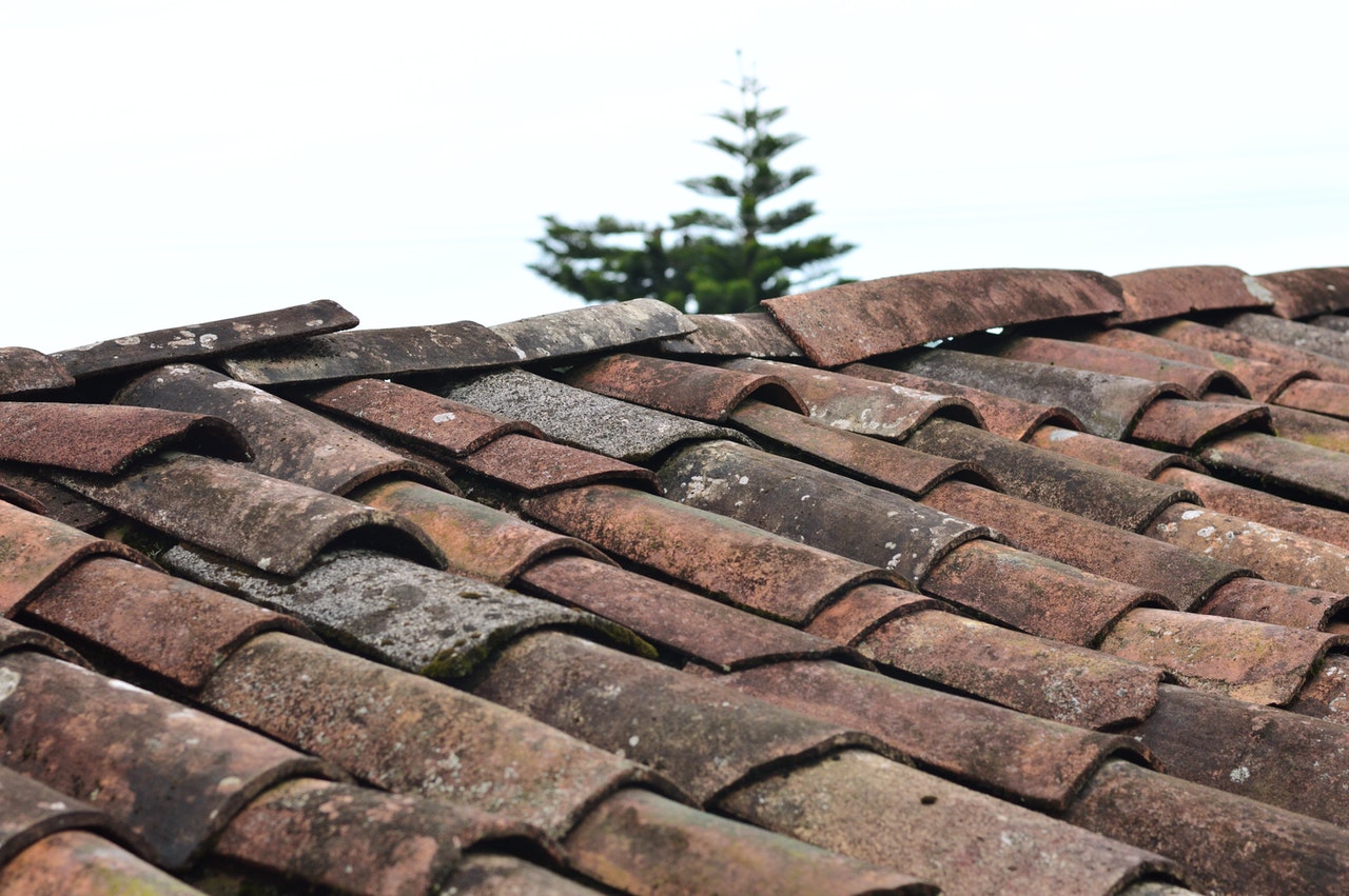 What Should You Consider Before Getting a New Roof?
