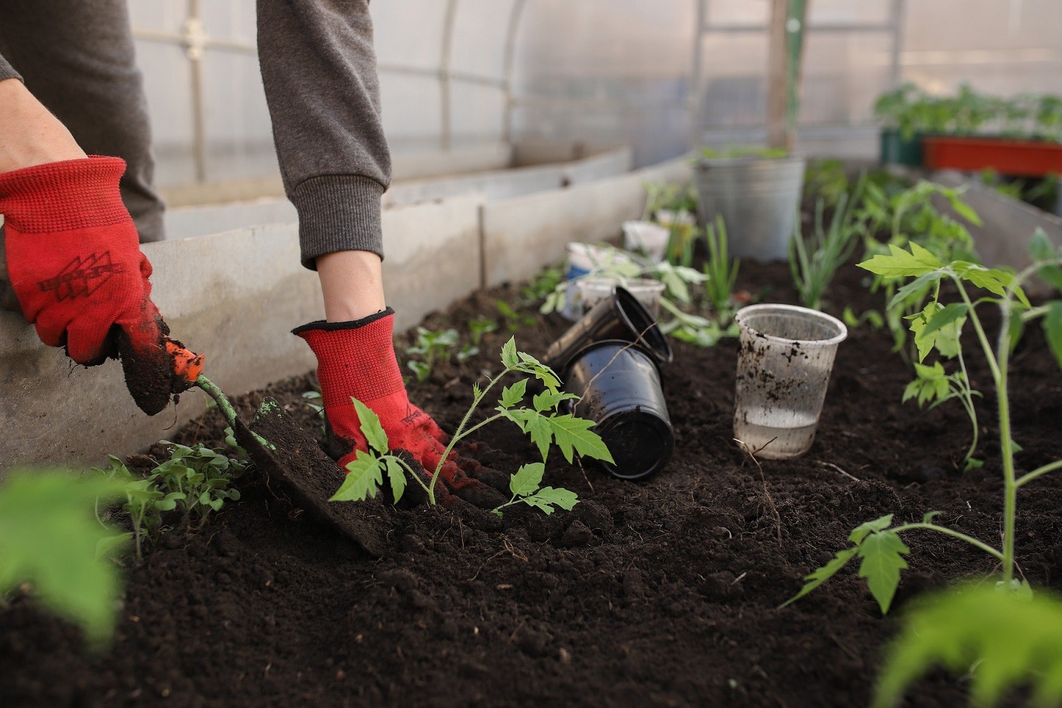 Help Your Clients Boost Their Home’s Spring Curb Appeal